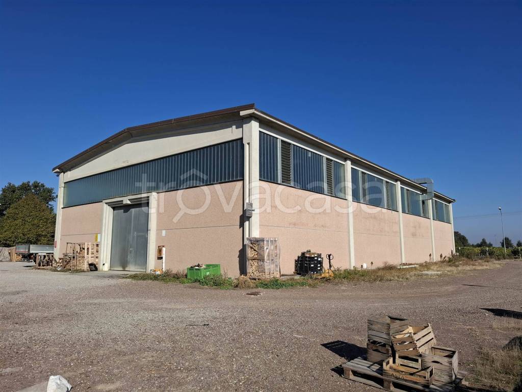 locale commerciale in vendita a Castelfranco Emilia in zona Piumazzo