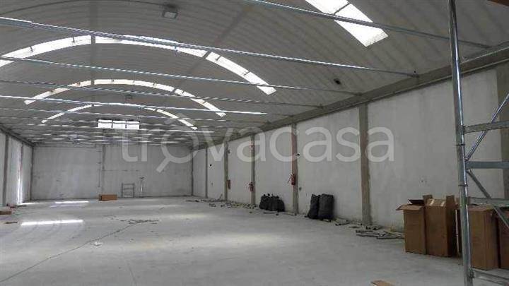 immagine annuncio 2 di 14