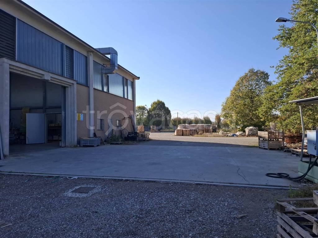 immagine annuncio 10 di 15