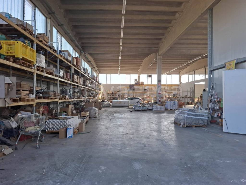 immagine annuncio 12 di 15