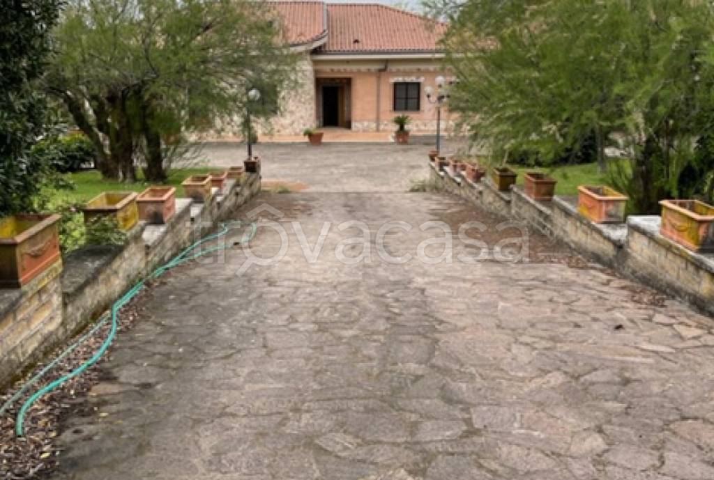 immagine annuncio 8 di 14