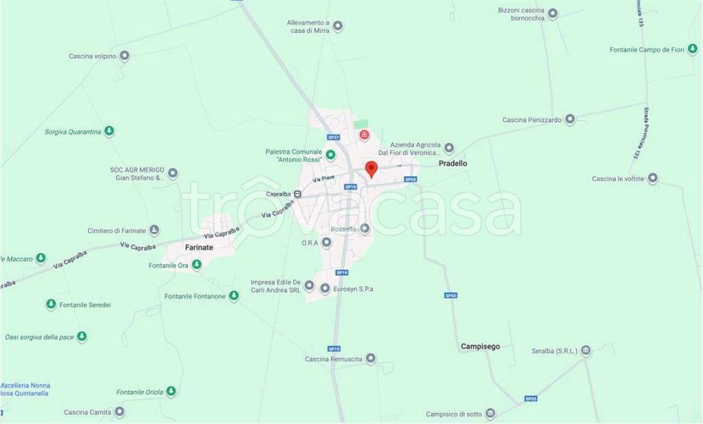 immagine annuncio 5 di 15