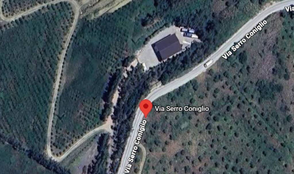 immagine annuncio 3 di 13