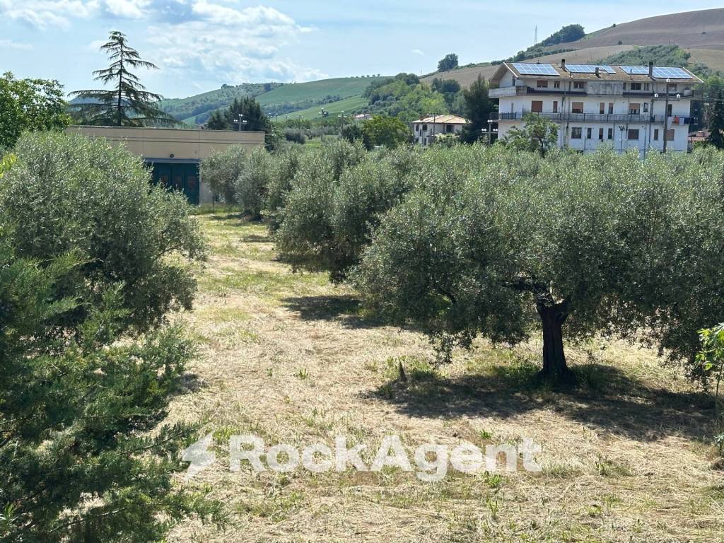 immagine annuncio 1 di 6