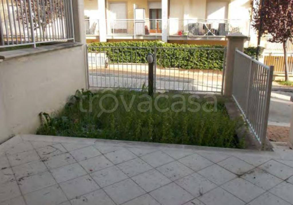 immagine annuncio 11 di 14