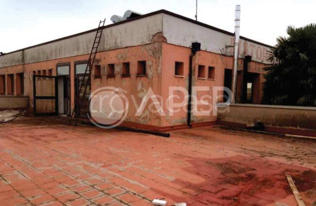 immagine annuncio 3 di 14