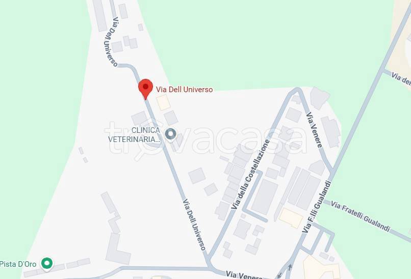 immagine annuncio 4 di 13