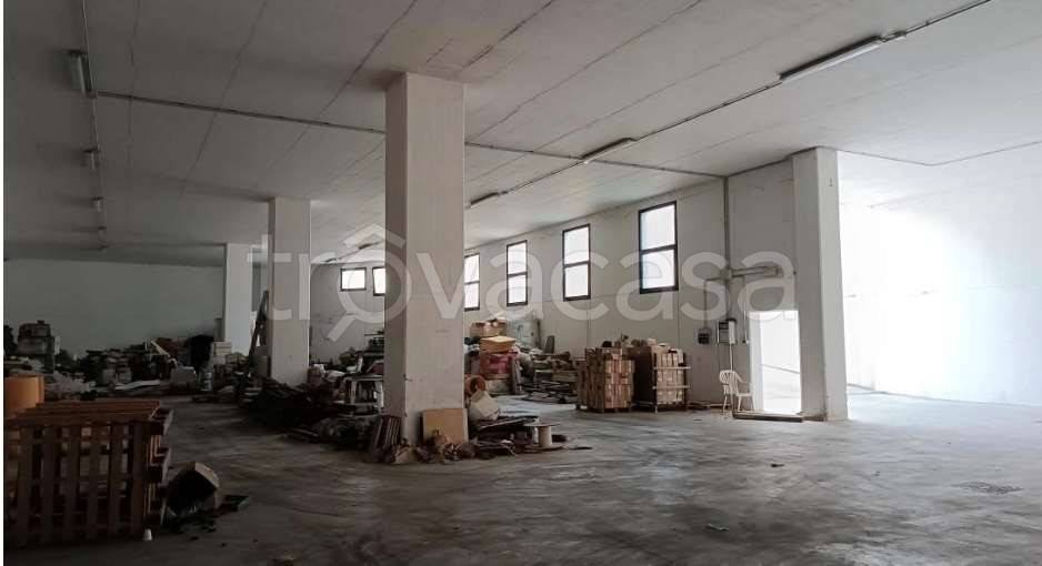 immagine annuncio 6 di 14