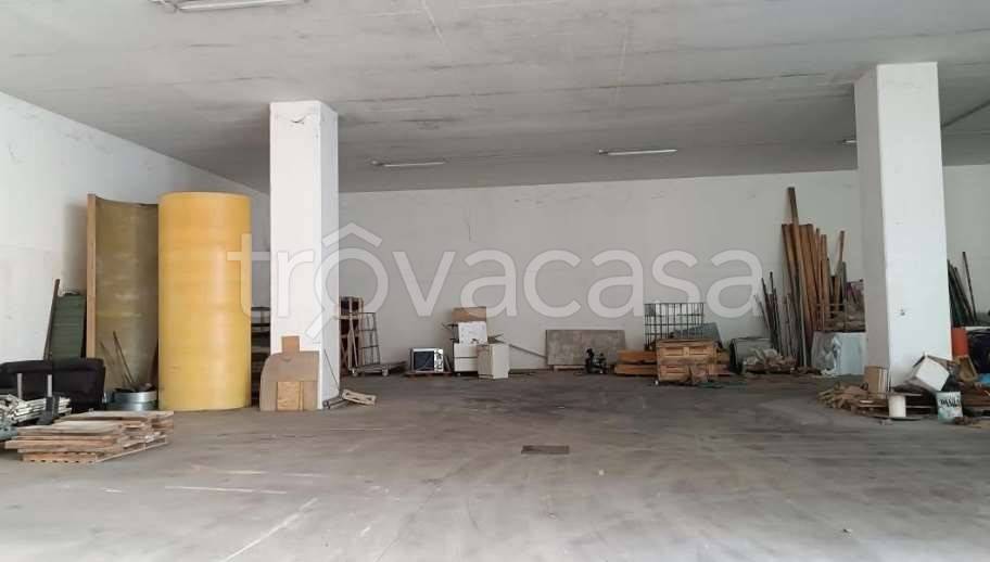 immagine annuncio 8 di 14