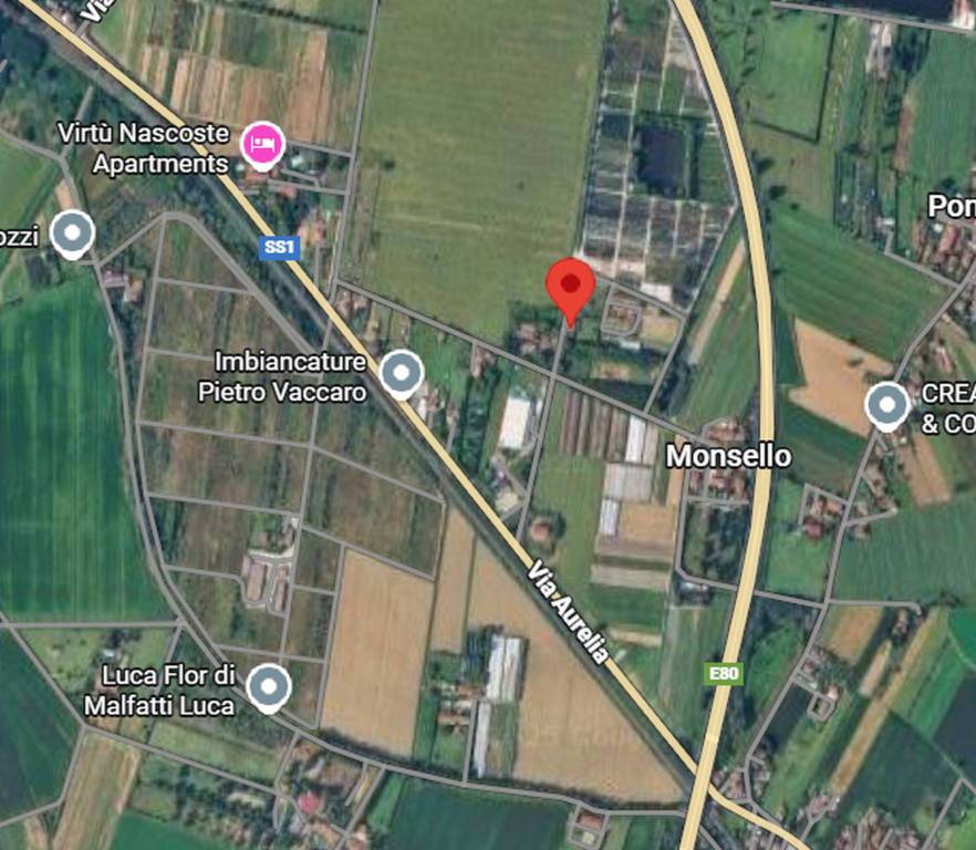 immagine annuncio 1 di 13