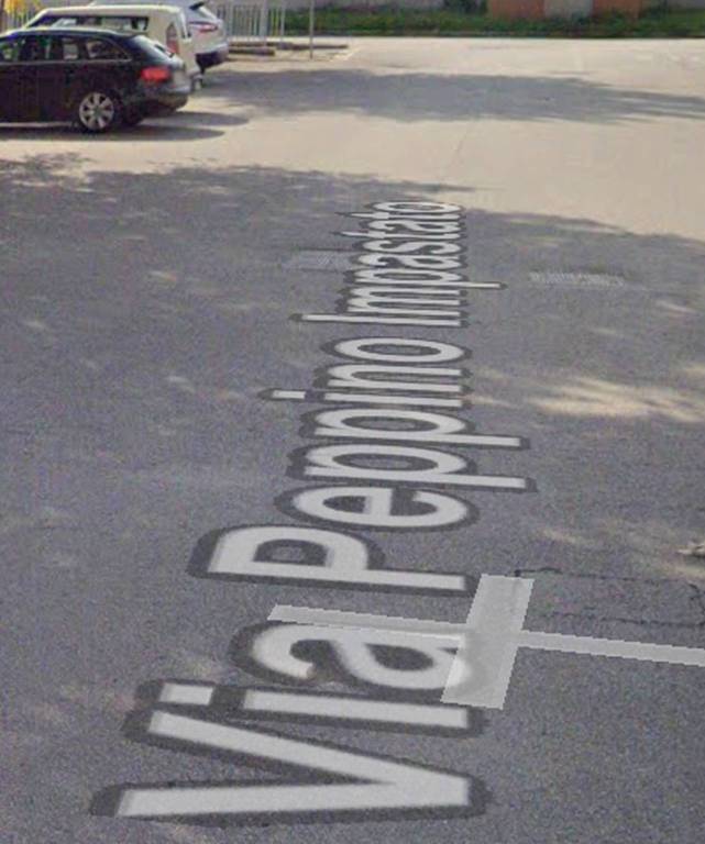 immagine annuncio 2 di 12