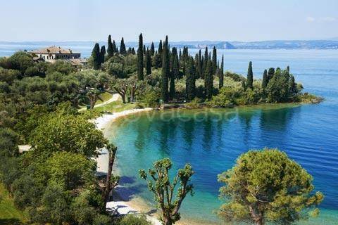 immagine annuncio 8 di 14