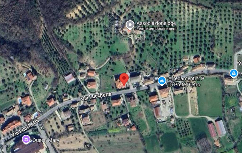 immagine annuncio 2 di 12