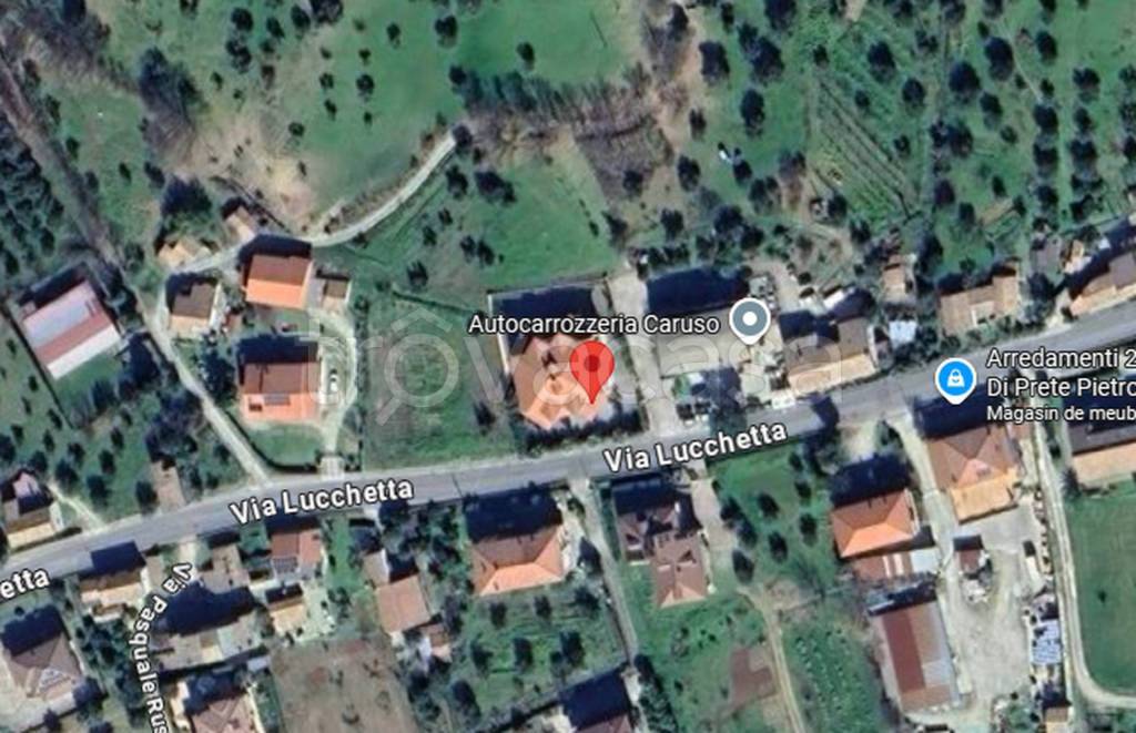 immagine annuncio 3 di 12