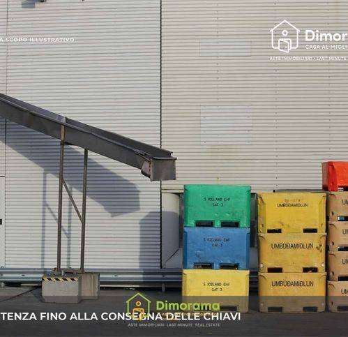 immagine annuncio 1 di 12