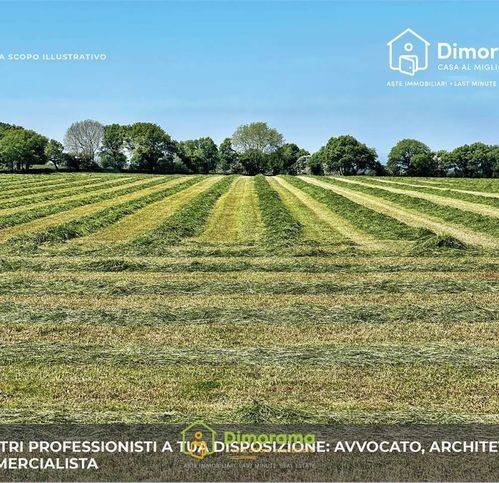 immagine annuncio 3 di 9