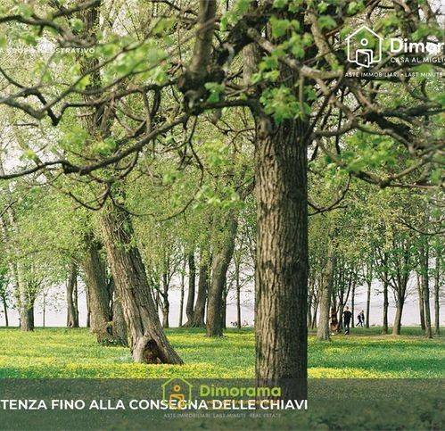 immagine annuncio 5 di 9