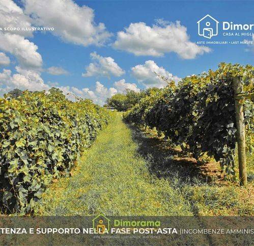 immagine annuncio 8 di 9