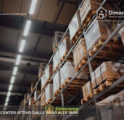 immagine annuncio 7 di 12