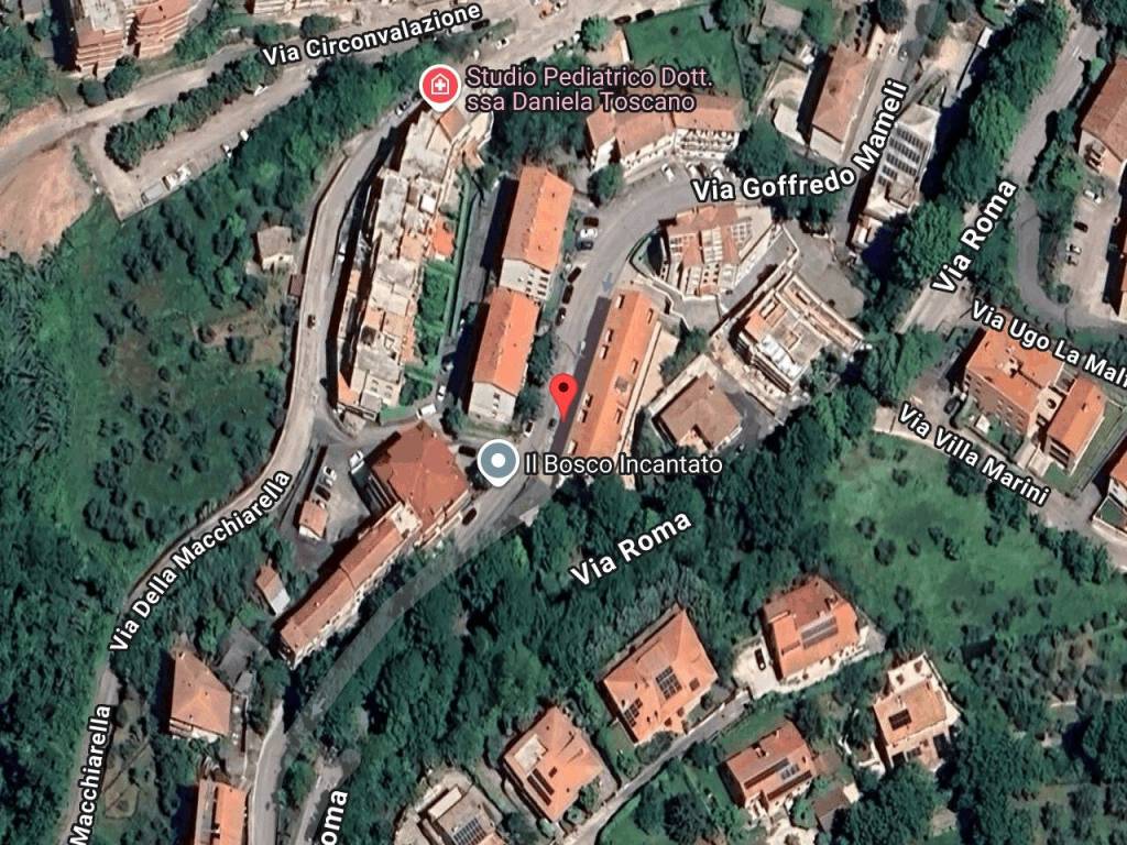 immagine annuncio 1 di 11