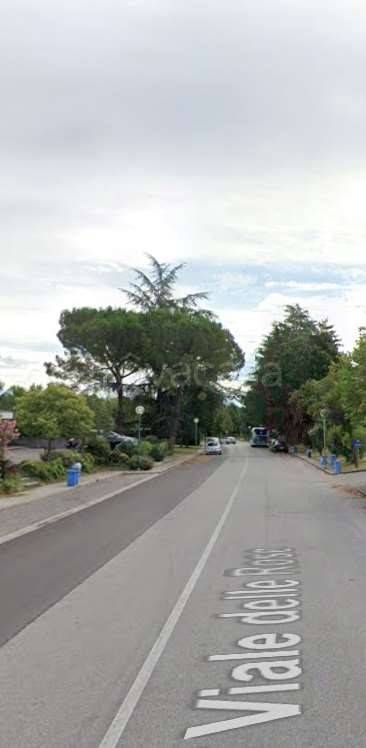 immagine annuncio 6 di 12