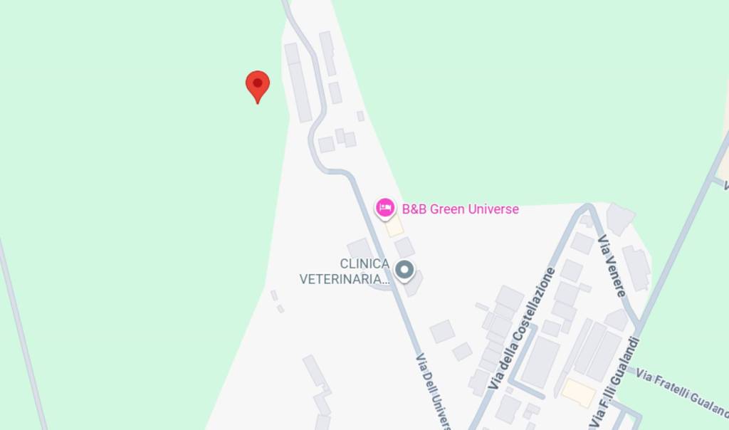 immagine annuncio 6 di 10