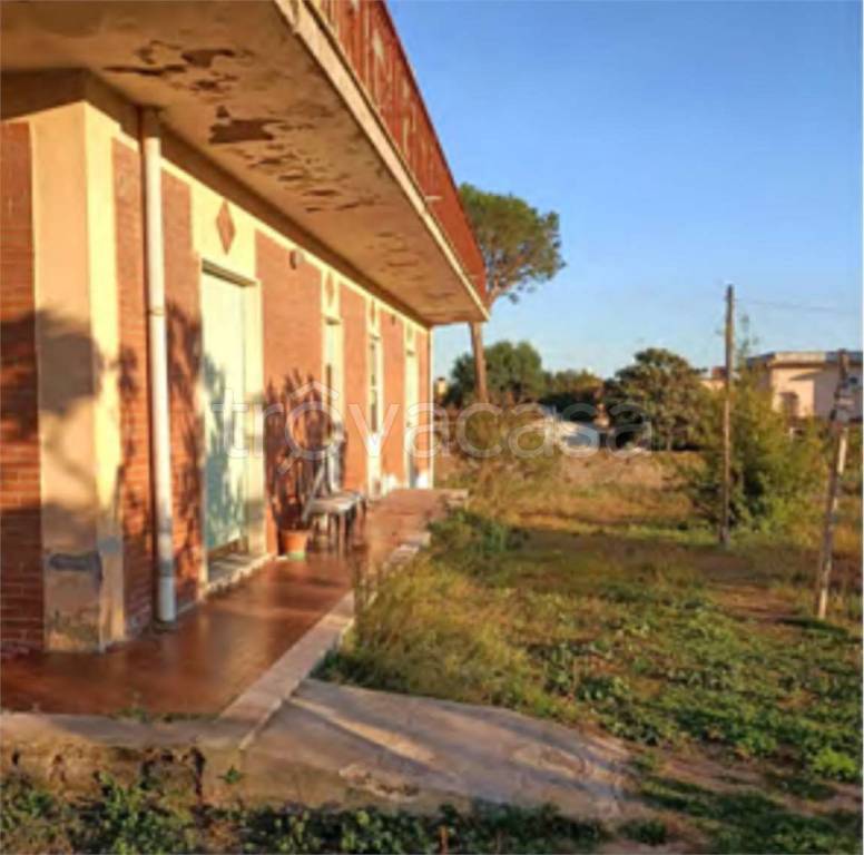 immagine annuncio 6 di 8