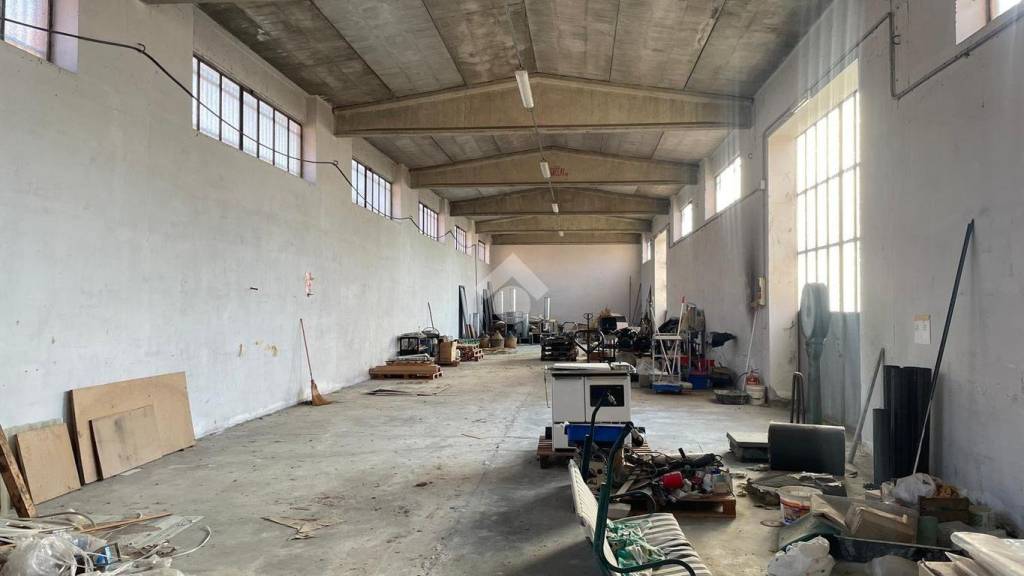 immagine annuncio 6 di 15