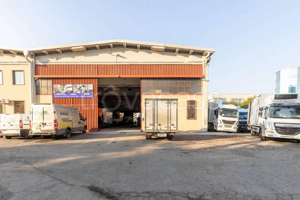 immagine annuncio 3 di 15