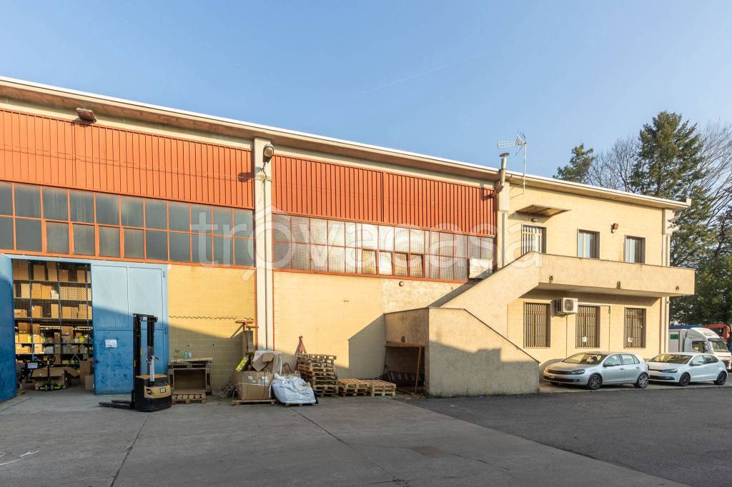 immagine annuncio 9 di 15