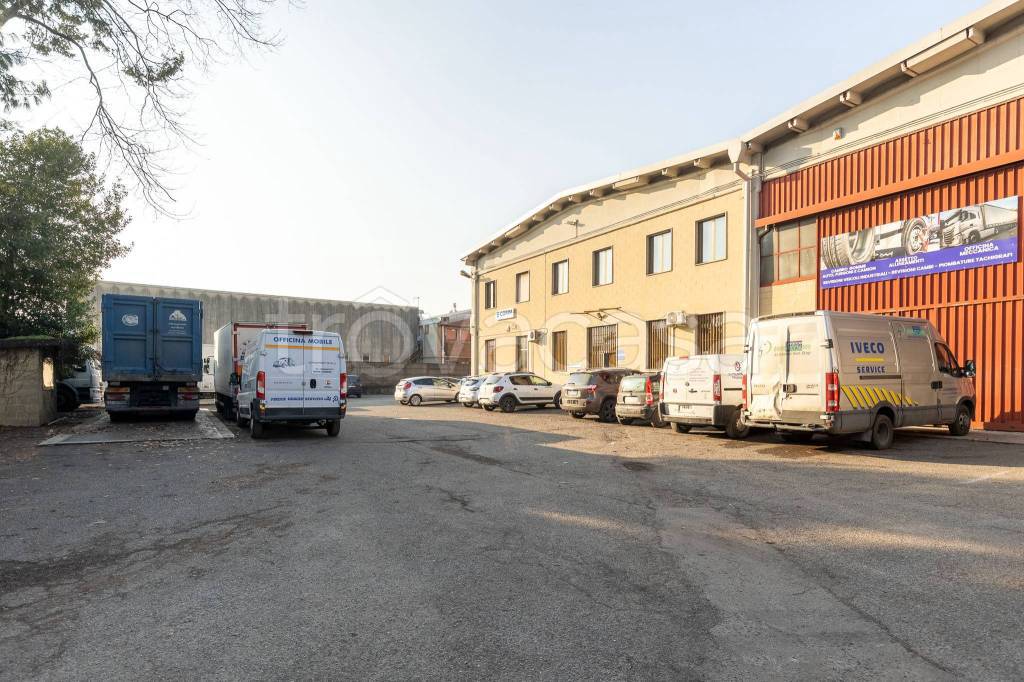 immagine annuncio 6 di 15