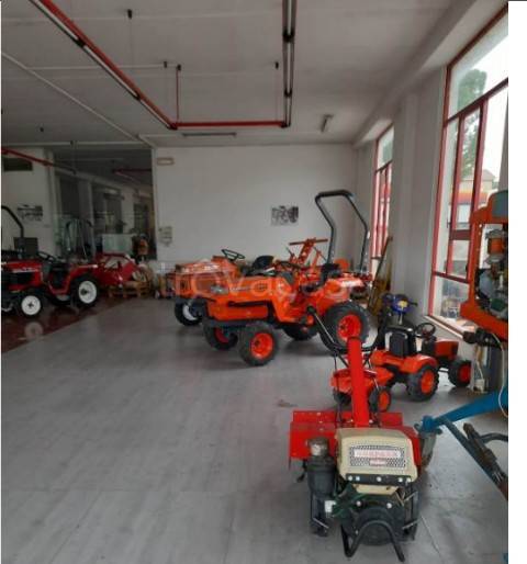 immagine annuncio 6 di 15