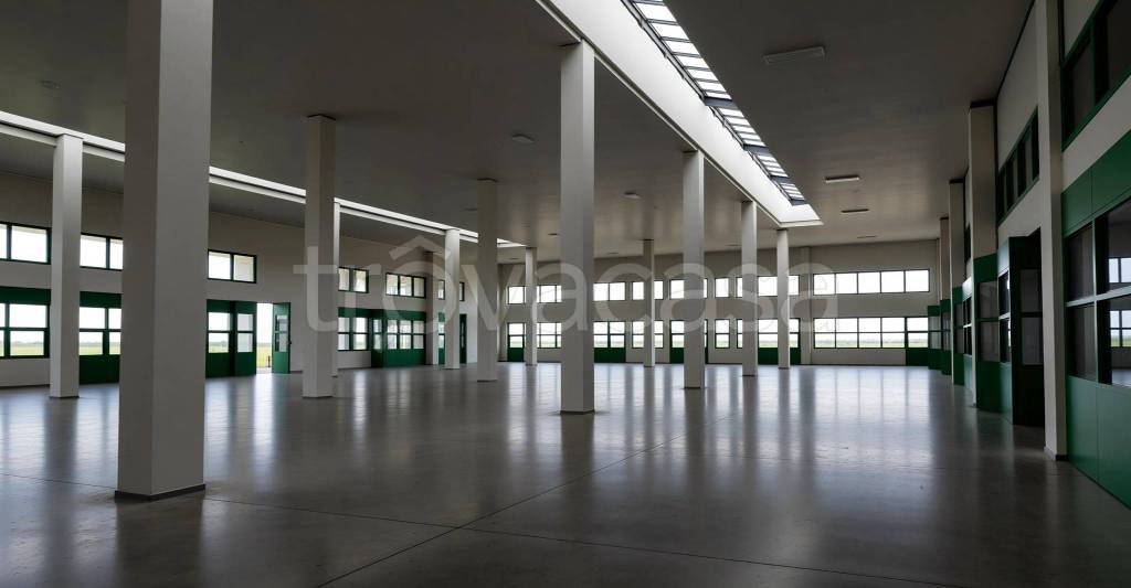 immagine annuncio 7 di 9