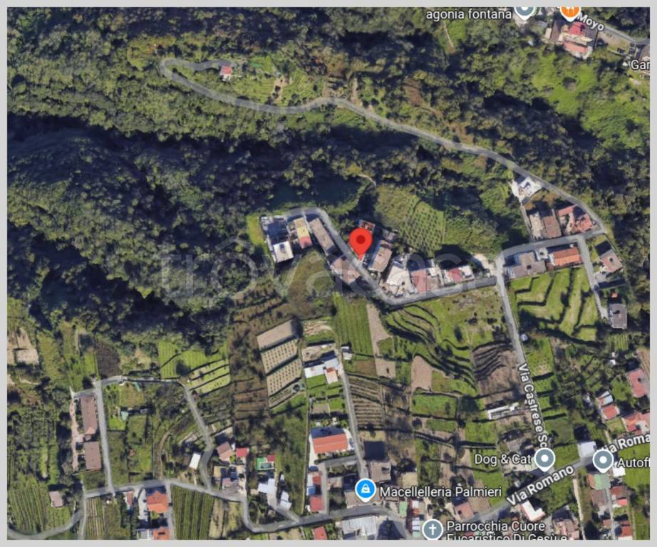 immagine annuncio 11 di 15