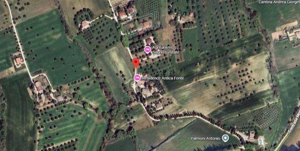 immagine annuncio 7 di 11