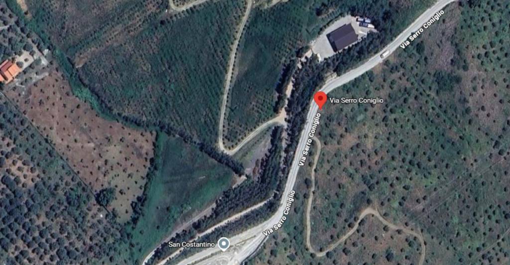 immagine annuncio 7 di 11