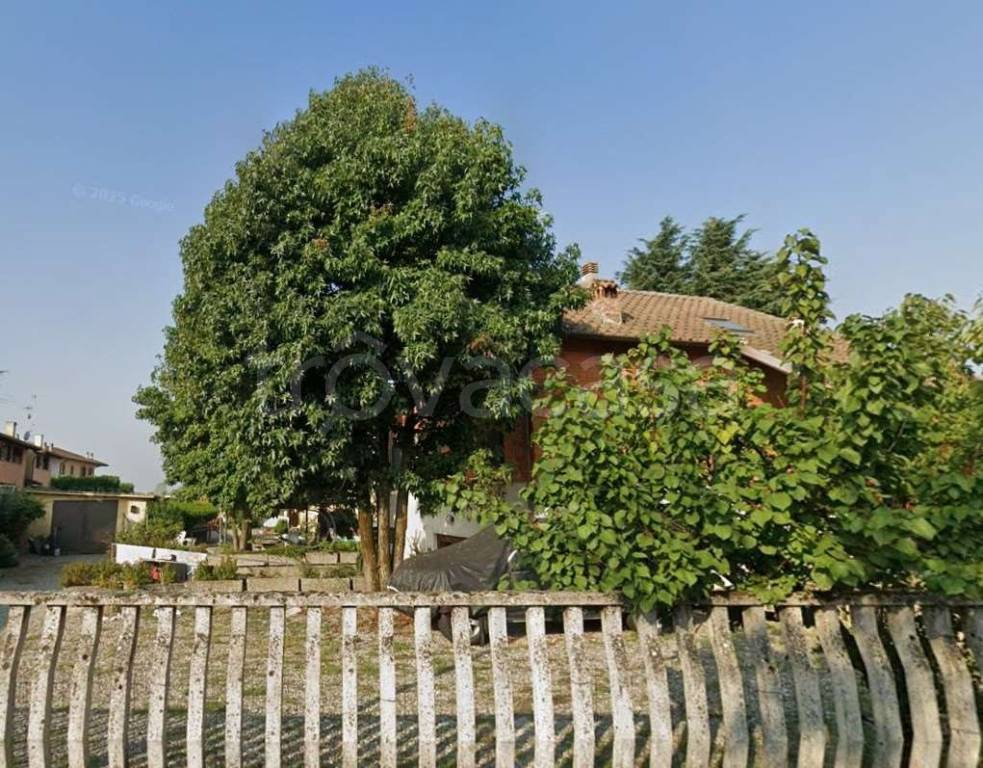 immagine annuncio 5 di 12