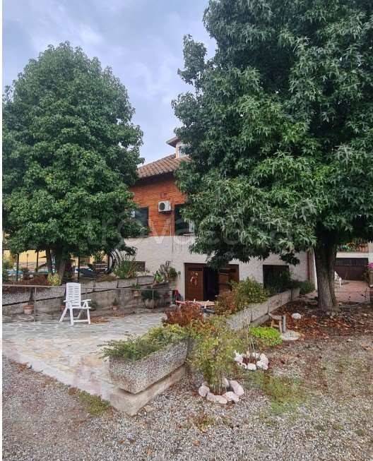 immagine annuncio 6 di 12