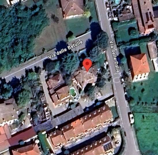 immagine annuncio 11 di 12