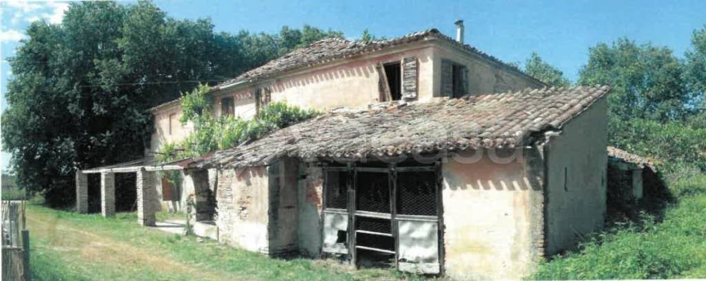 immagine annuncio 1 di 7