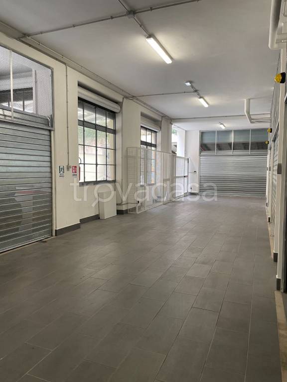 immagine annuncio 4 di 8