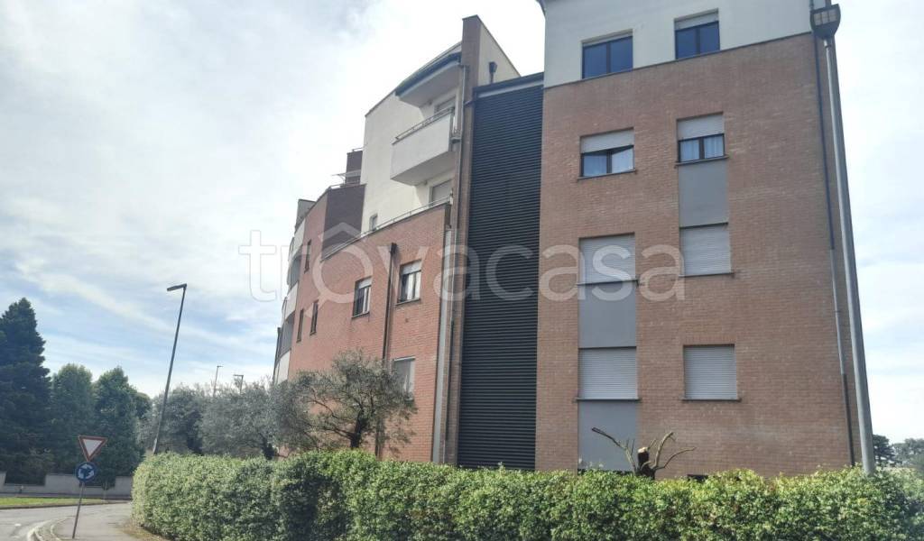 immagine annuncio 6 di 14