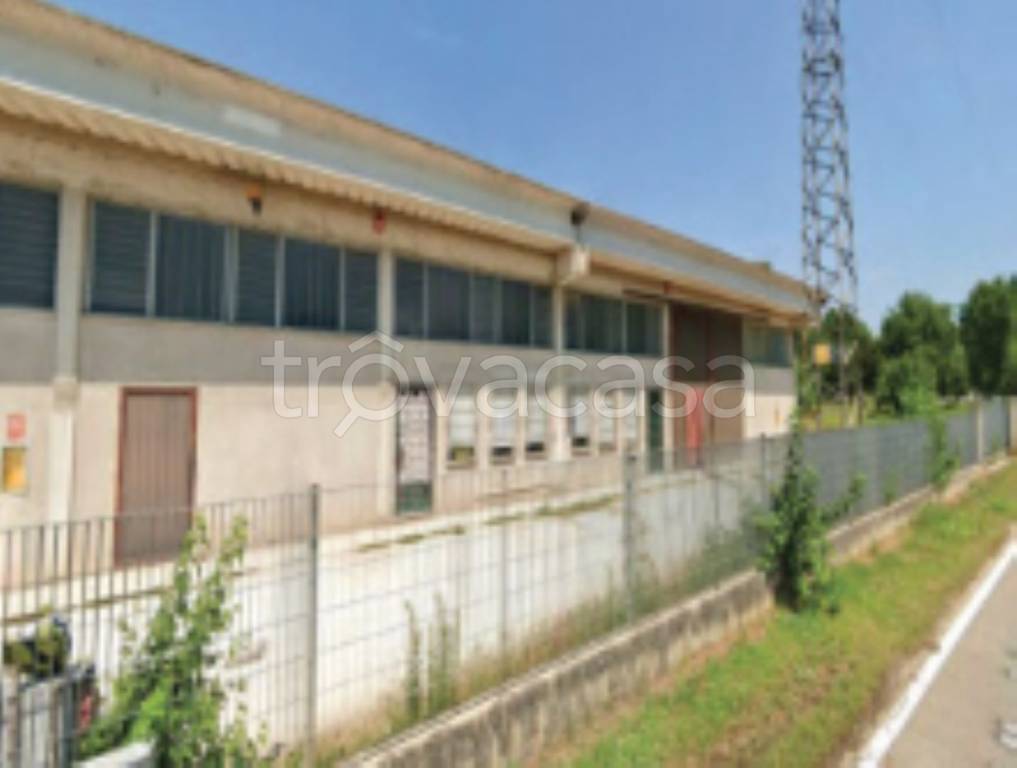 immagine annuncio 1 di 11