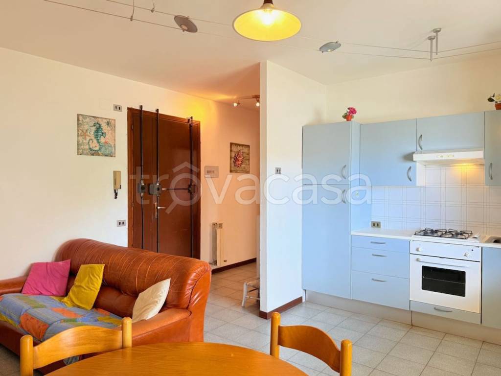 immagine annuncio 7 di 14