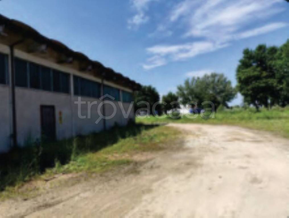 immagine annuncio 4 di 11