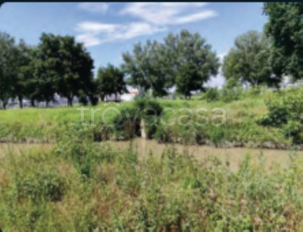 immagine annuncio 6 di 11