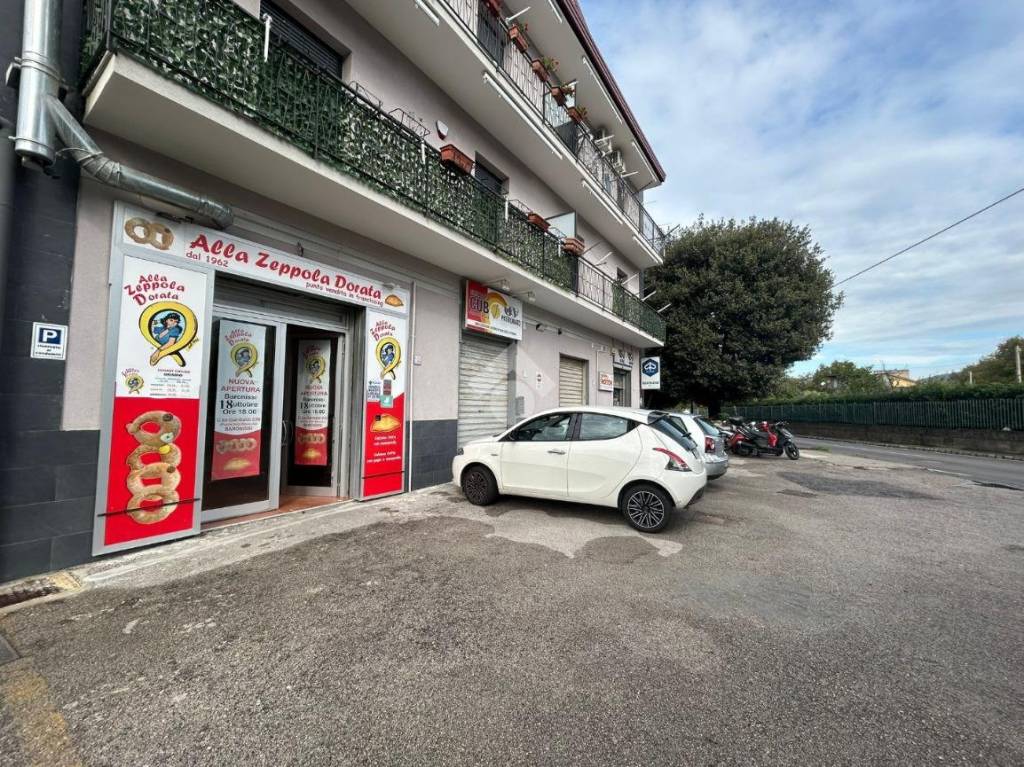 immagine annuncio 2 di 11