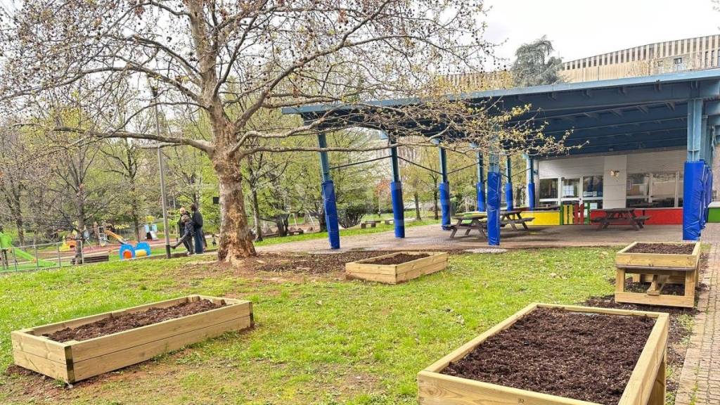 immagine annuncio 13 di 15