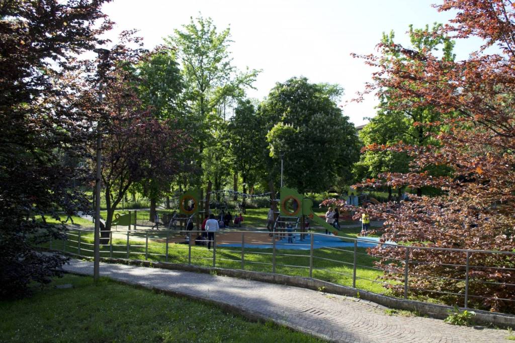 immagine annuncio 12 di 15