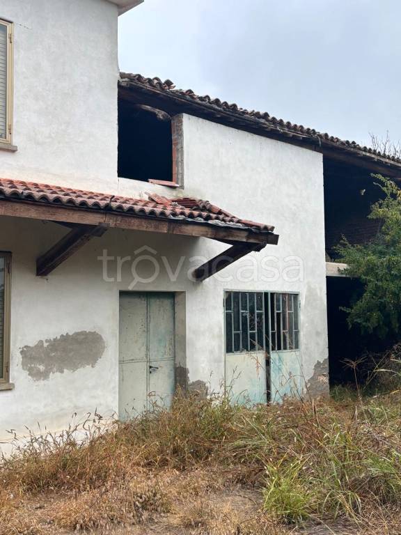 immagine annuncio 1 di 8